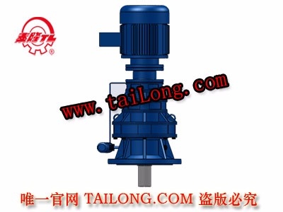 BLSY 立式三級(jí)普通電機(jī)直聯(lián)型擺線針輪減速器（機(jī)）